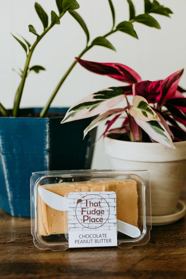 chocolate peanut butter flavor fudge in a clam next to plants