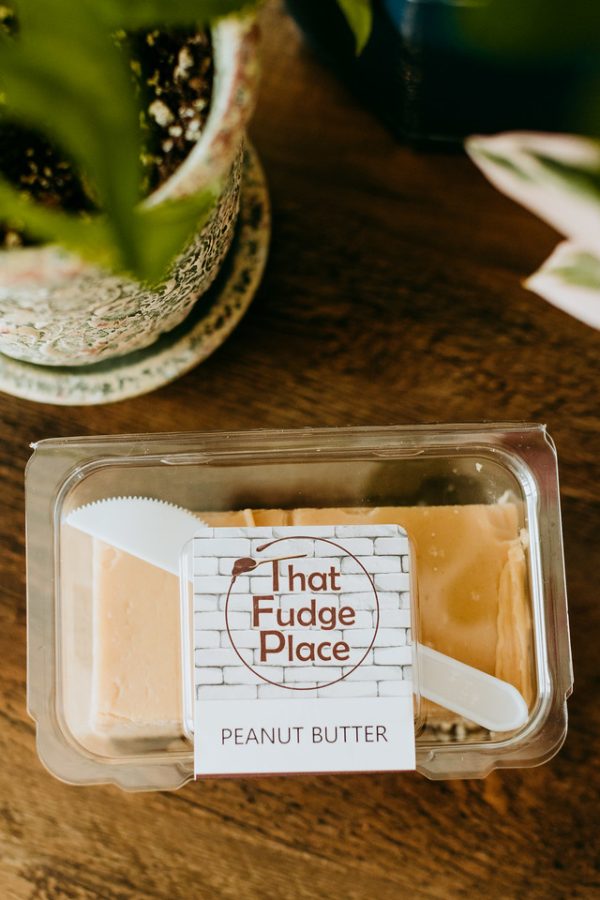 clam of peanut butter fudge on a table with plants
